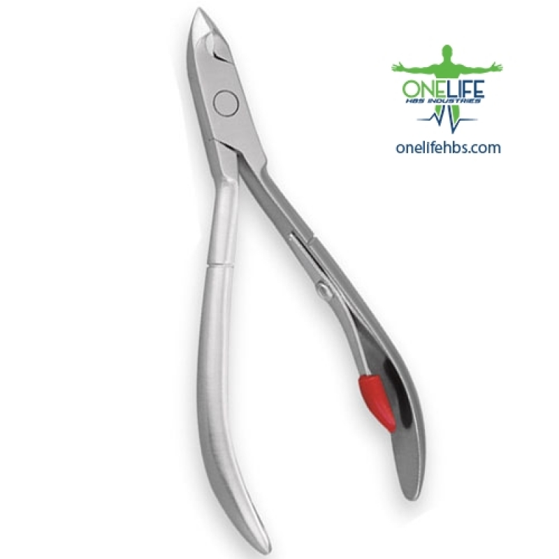 Upper Centrals and Canines